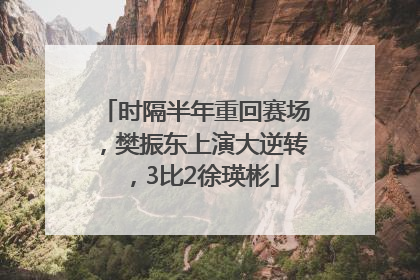 时隔半年重回赛场，樊振东上演大逆转，3比2徐瑛彬