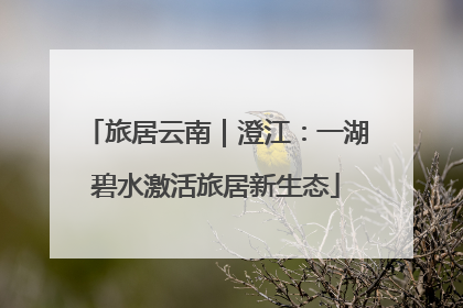 旅居云南｜澄江：一湖碧水激活旅居新生态