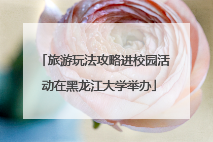 旅游玩法攻略进校园活动在黑龙江大学举办