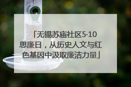 无锡苏庙社区5·10思廉日，从历史人文与红色基因中汲取廉洁力量