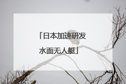 日本加速研发水面无人艇