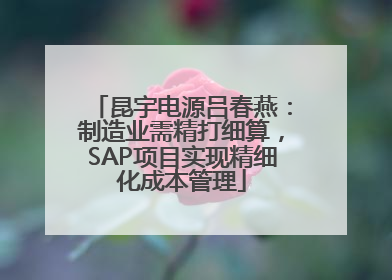 昆宇电源吕春燕：制造业需精打细算，SAP项目实现精细化成本管理