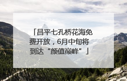 昌平七孔桥花海免费开放，6月中旬将到达“颜值巅峰”