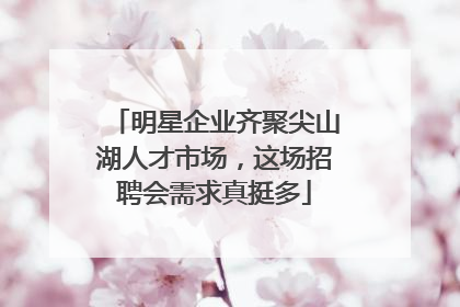明星企业齐聚尖山湖人才市场，这场招聘会需求真挺多