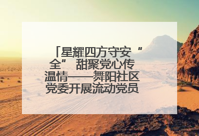 星耀四方守安“全” 甜聚党心传温情——舞阳社区党委开展流动党员建党节主题活动