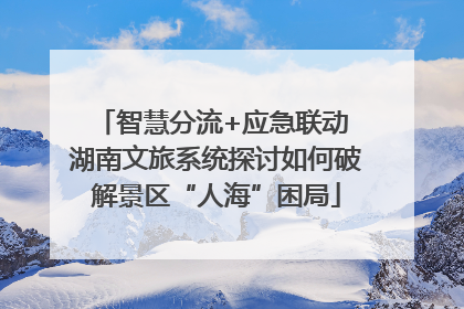 智慧分流+应急联动 湖南文旅系统探讨如何破解景区“人海”困局