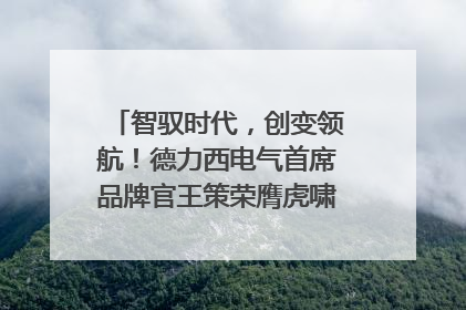 智驭时代，创变领航！德力西电气首席品牌官王策荣膺虎啸奖年度品牌人物