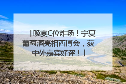晚宴C位炸场！宁夏葡萄酒亮相西博会，获中外嘉宾好评！