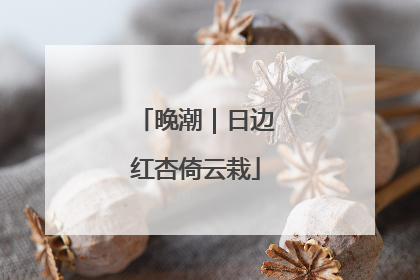 晚潮｜日边红杏倚云栽