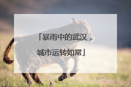暴雨中的武汉，城市运转如常