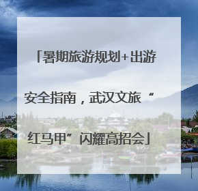 暑期旅游规划+出游安全指南，武汉文旅“红马甲”闪耀高招会