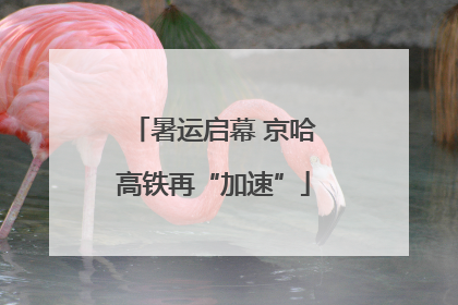暑运启幕 京哈高铁再“加速”