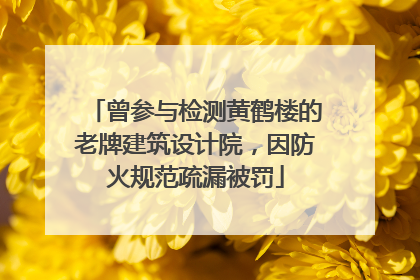 曾参与检测黄鹤楼的老牌建筑设计院，因防火规范疏漏被罚