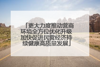 更大力度推动营商环境全方位优化升级加快促进民营经济持续健康高质量发展