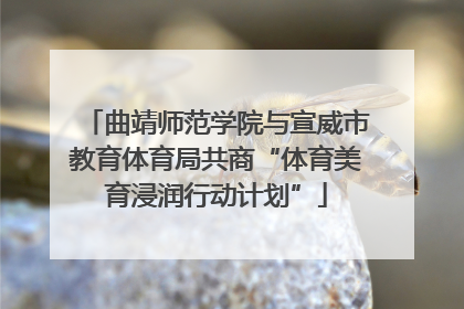 曲靖师范学院与宣威市教育体育局共商“体育美育浸润行动计划”