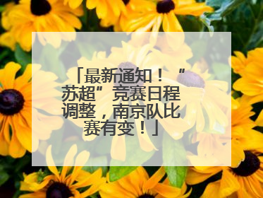 最新通知！“苏超”竞赛日程调整，南京队比赛有变！