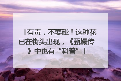 有毒，不要碰！这种花已在街头出现，《甄嬛传》中也有“科普”