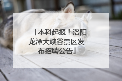 本科起报！洛阳龙潭大峡谷景区发布招聘公告