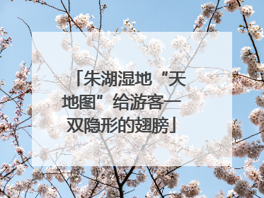 朱湖湿地“天地图”给游客一双隐形的翅膀