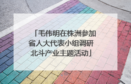 毛伟明在株洲参加省人大代表小组调研北斗产业主题活动