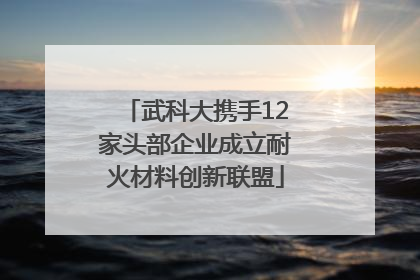 武科大携手12家头部企业成立耐火材料创新联盟