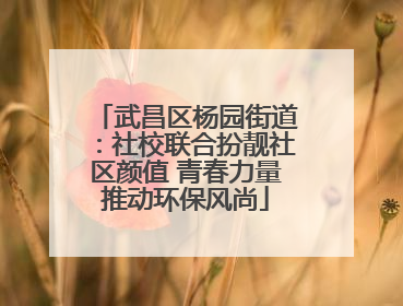 武昌区杨园街道：社校联合扮靓社区颜值 青春力量推动环保风尚
