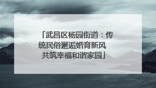 武昌区杨园街道：传统民俗邂逅婚育新风 共筑幸福和谐家园