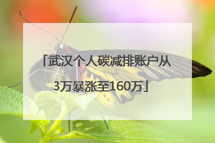 武汉个人碳减排账户从3万暴涨至160万