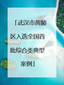 武汉市黄陂区入选全国首批综合类典型案例