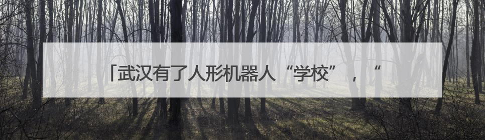 武汉有了人形机器人“学校”，“人形机器人进家庭，这是第一步”