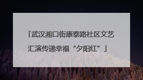 武汉湘口街康泰路社区文艺汇演传递幸福“夕阳红”