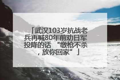 武汉103岁抗战老兵再喊80年前劝日军投降的话 “缴枪不杀，放你回家”