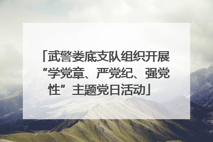 武警娄底支队组织开展“学党章、严党纪、强党性”主题党日活动