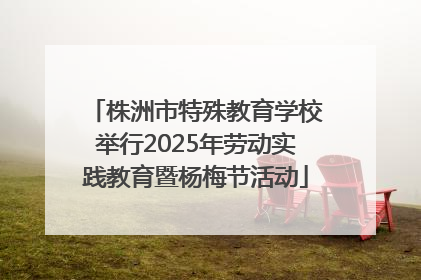 株洲市特殊教育学校举行2025年劳动实践教育暨杨梅节活动