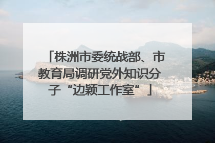 株洲市委统战部、市教育局调研党外知识分子“边颖工作室”