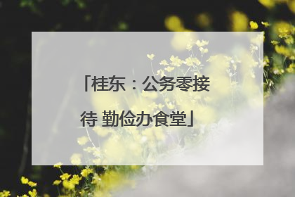 桂东：公务零接待 勤俭办食堂