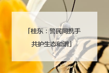 桂东：警民同携手 共护生态和谐