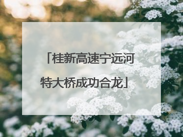 桂新高速宁远河特大桥成功合龙