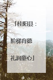桂阳县：阶梯育德 礼润童心