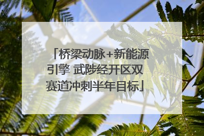 桥梁动脉+新能源引擎 武陟经开区双赛道冲刺半年目标