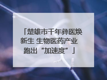 楚雄市千年彝医焕新生 生物医药产业跑出“加速度”