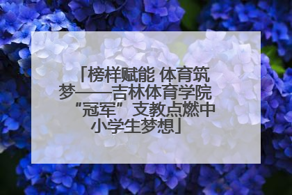 榜样赋能 体育筑梦——吉林体育学院“冠军”支教点燃中小学生梦想