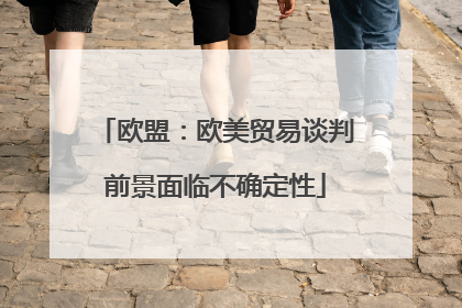 欧盟：欧美贸易谈判前景面临不确定性