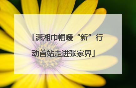 潇湘巾帼暖“新”行动首站走进张家界