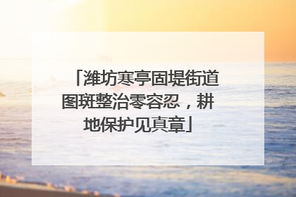 潍坊寒亭固堤街道图斑整治零容忍，耕地保护见真章