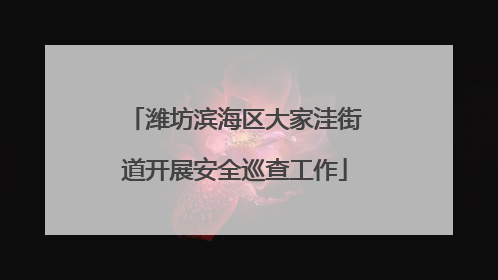 潍坊滨海区大家洼街道开展安全巡查工作
