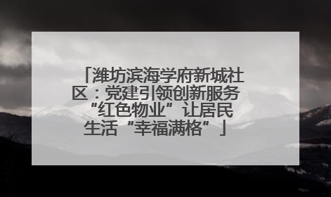 潍坊滨海学府新城社区：党建引领创新服务 “红色物业”让居民生活“幸福满格”