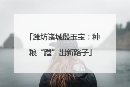 潍坊诸城殷玉宝：种粮“蹚”出新路子