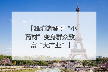 潍坊诸城：“小药材”变身群众致富“大产业”