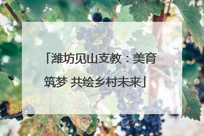 潍坊见山支教：美育筑梦 共绘乡村未来